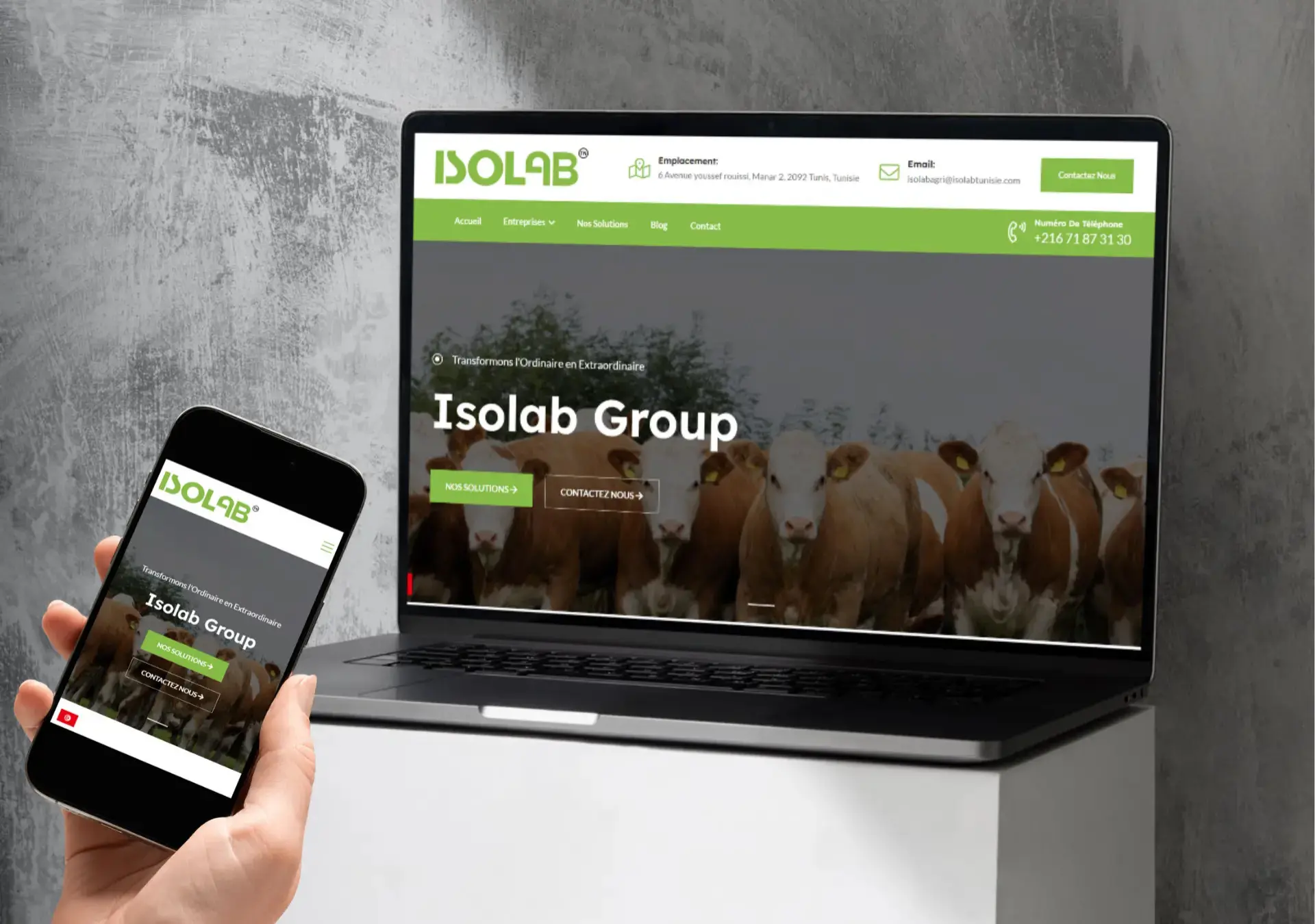 ISOLAB Group